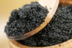 Caviar